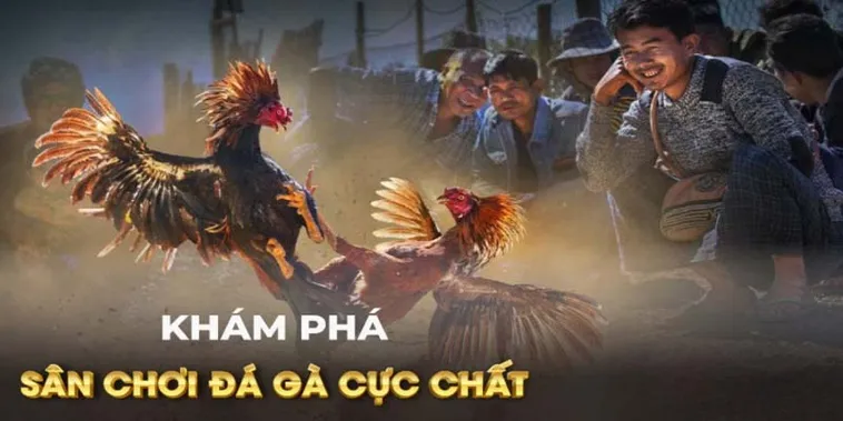 Chinh Phục Đấu Trường Đá Gà GA28 Tại BY88 Rinh Tiền Tỷ Về Tay