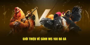 Hướng Dẫn Cách Chơi Đá Gà WS168 Tại BY88 Đỉnh Cao Thắng Lớn