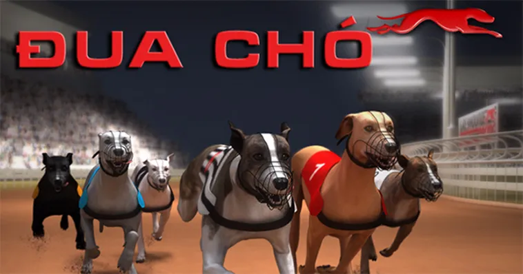 Chiến Thuật Đua Chó BY88 Thắng Lớn Siêu Tốc Cho Tân Thủ Mới